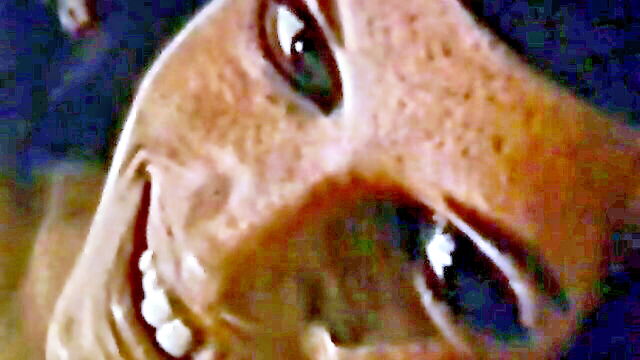 playmate film 05 teddy bear