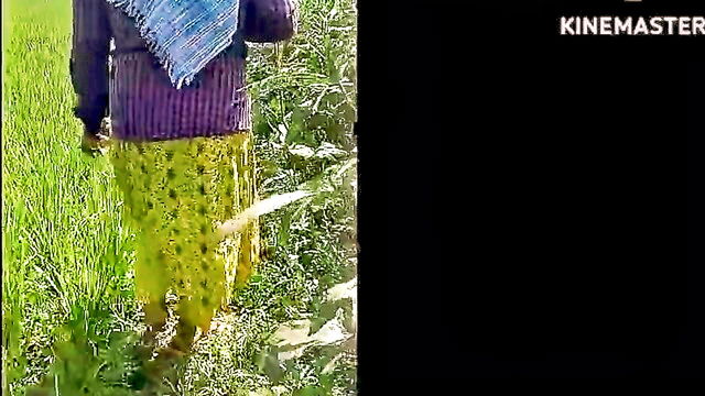hottest, hot, aunty - indian maid scam hd