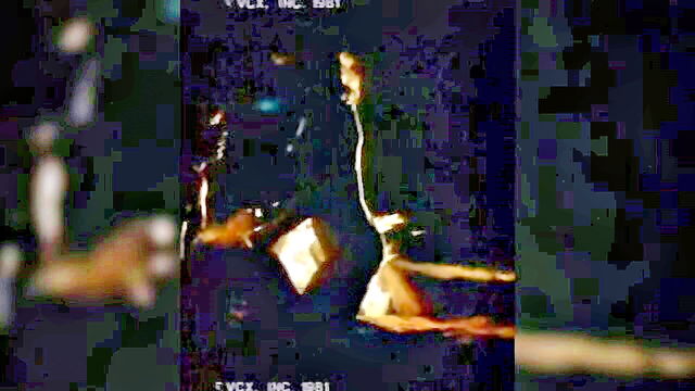 pet of the month 1978 : VCX