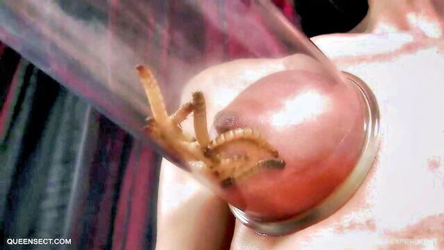 Queensnake - queensnake worm fuck
