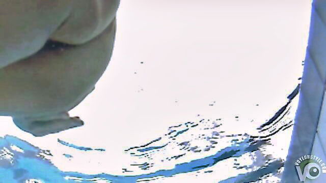 swimming, nudist, camp - nudist swimming pool camel toe