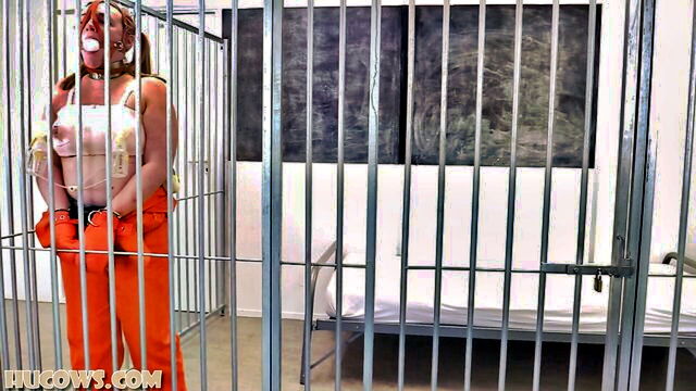 bdsm bondage, bdsm, hucows - hucows kerry prison program