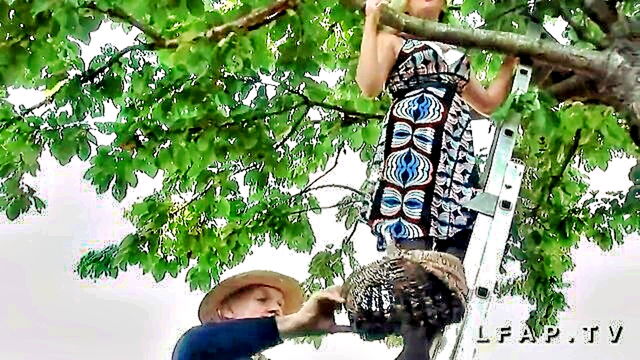 la france a poil threesome