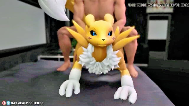 3d hentai, 3d animation, animation - furry renamon porn