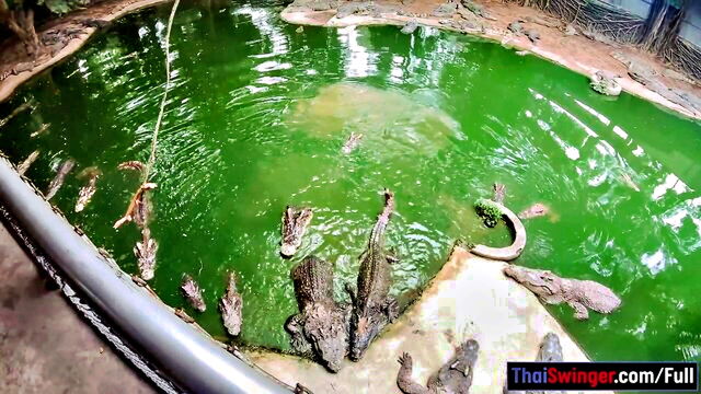 amateur thai girl hardcore sex