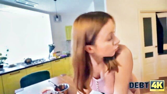 novella night - novella night hd