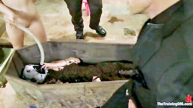beating, bound, brunette - domina training extreme humiliation