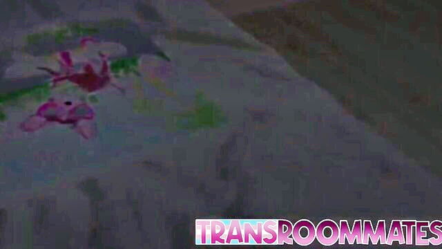 art lesson trans sex