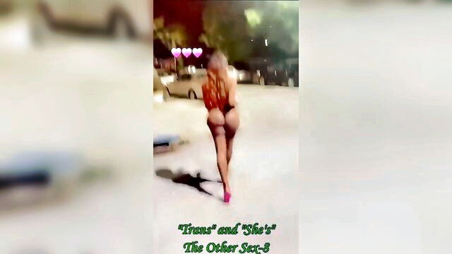 amateur, compilation, big ass - translovemaking ebony xxx
