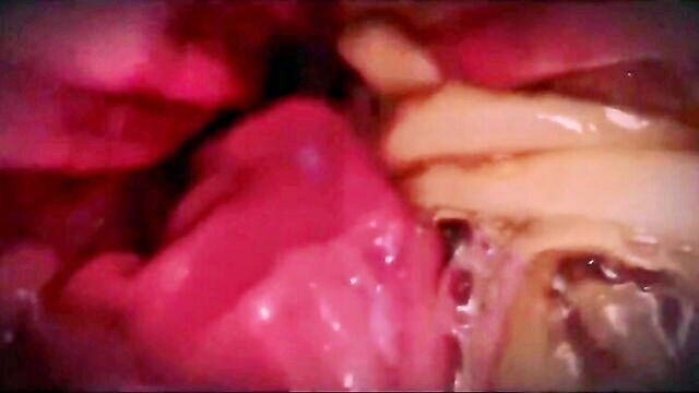 vore, pov, digestion - vorceousurrency fiance delivery