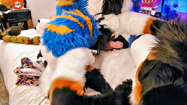 AngryBarks - monstrous mutt trains kitten