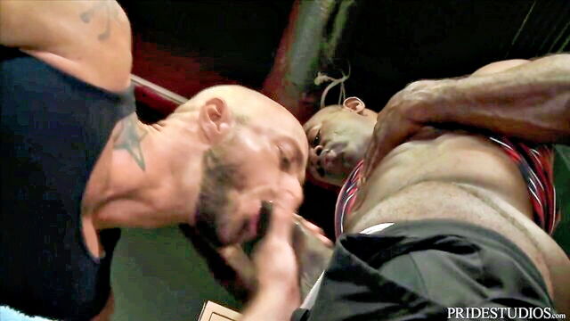 hairy, blowjob, black - aarongun aarontrainers big dick