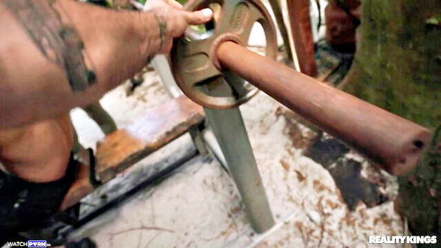 cubbi thompson - cubbi thompson rkprime sweat