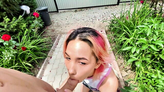 روح بغال вирусная blondie wants money