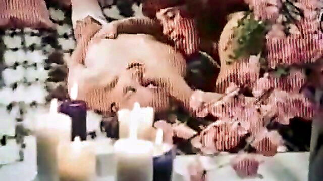 pussycat dream dick xxx