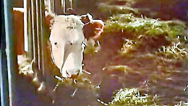 vintage, retro 1970 - classic 70s video tagged as retro and vintage