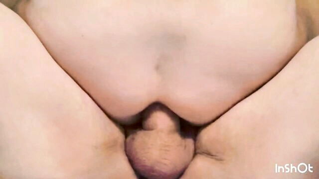 blowjob, amateur, anal - son law holes hole dwellers