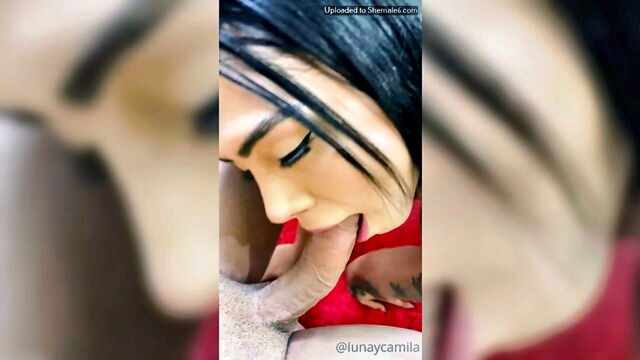 lunaycamila - lunaycamila onlyfans leak