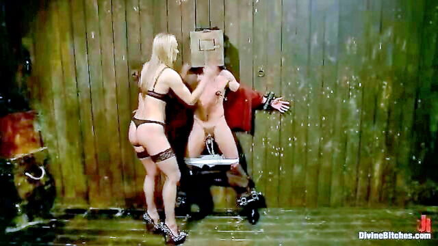 lingerie, clamps, blonde - casey more facesitting