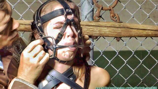 slave, bondage, futile struggles - pony girl bondage