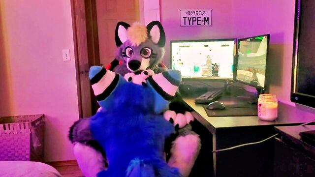 furry girl, furry, pov - hairy gamer inhaled by hot cub