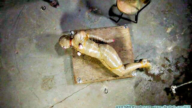 futile struggles, slave, bondage - futilestruggles bondage