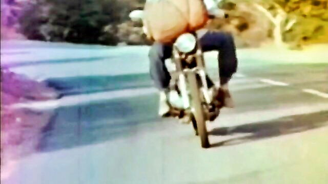 vintage full movie porn : Something Weird Video