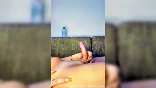 Tiffanysturban - tiffanysturban xxx