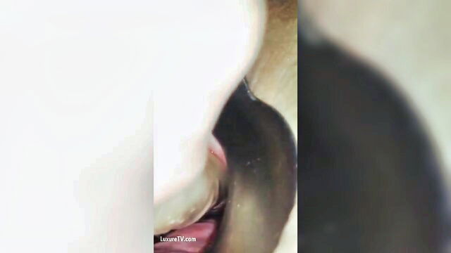 amateur, huge insertions, weird insertions - sounding collection 22