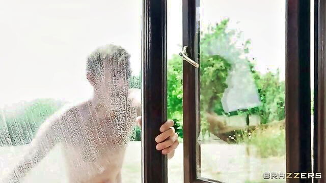 window, the window, window wanker - the window wanker video