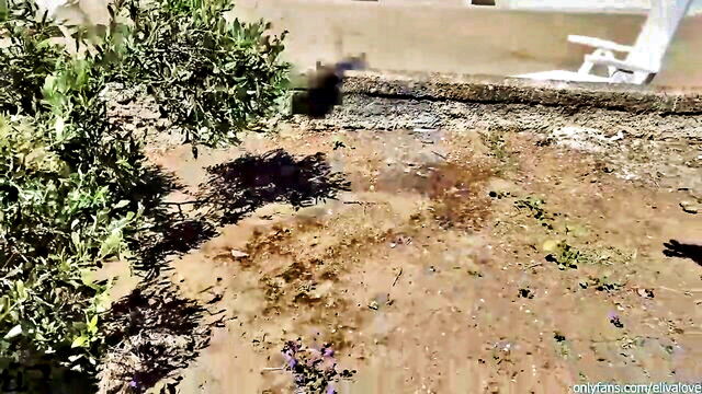 elivalove - eliva love amateur trailer