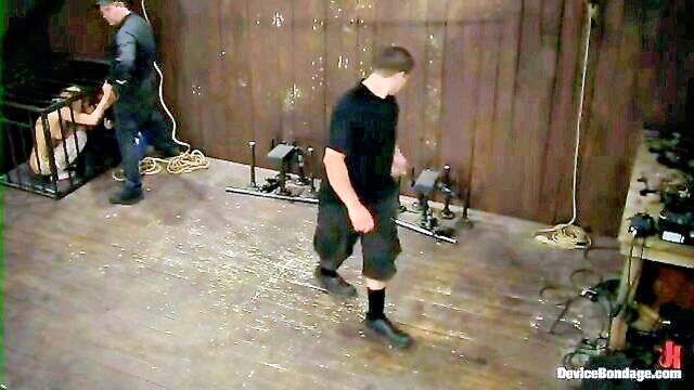 ariel x, amber jayne, rain degrey - lesbian device bondage avec rain degrey