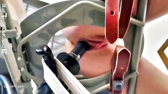 bondage, anal, masochism - greyhound gets fucked hard