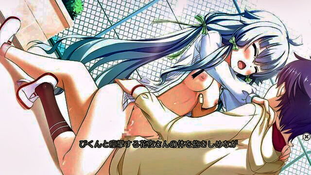 visual novel, eroge - eroge visual novel sakshiro