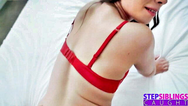 brad sterling - aria lee season tickets