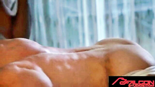 ty santana - hunk ass fill videos