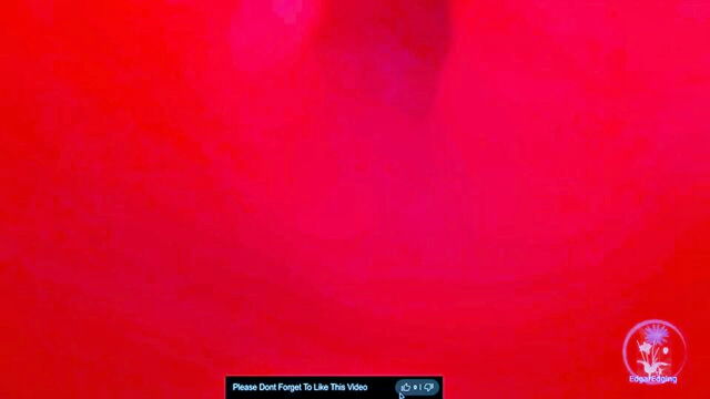 edgaredging - trans intimate close up action