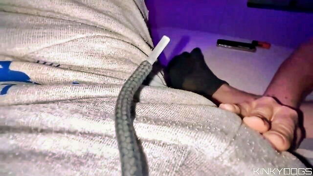 fablazed - kinkydogs amateur video