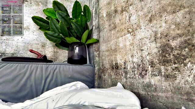 quantum heart - quantumheart fountainsquirt