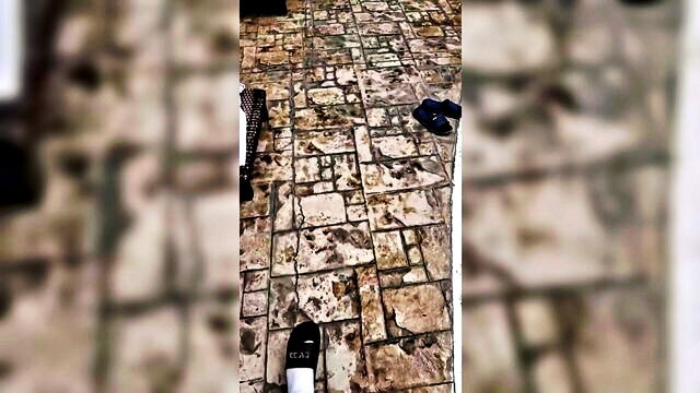 mrpatolucas - uber licks anal encounter