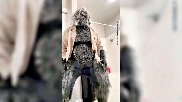 werewolf, wolfman, wetting - wolfman costume pee