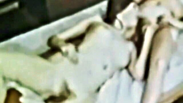 young and lusty vintage porn