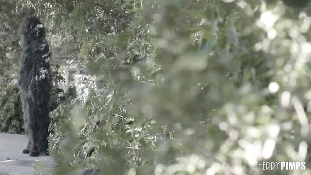 cherry pimps hot scene