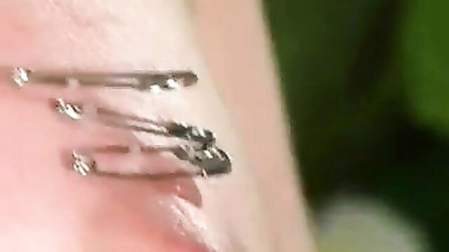 bizarre adult club, needles, pain - bizarre adult club lash pins