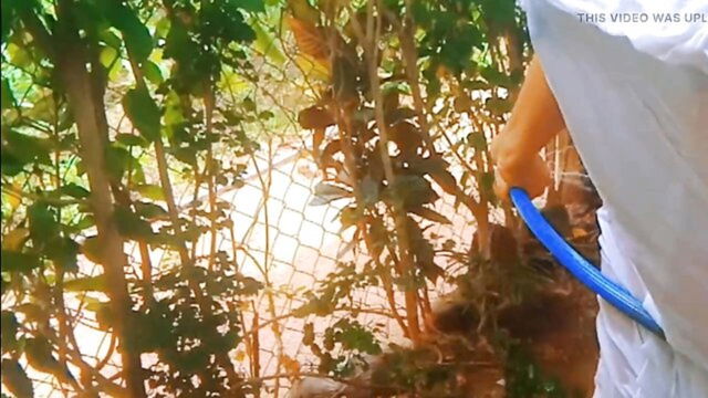 beautiful girl sex, back, beautiful - sri lankan babe bath