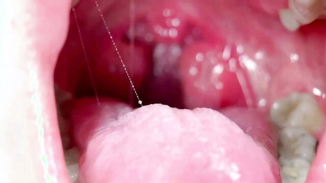 gummy, mouse, swallow - gummy mouse swallow xxx