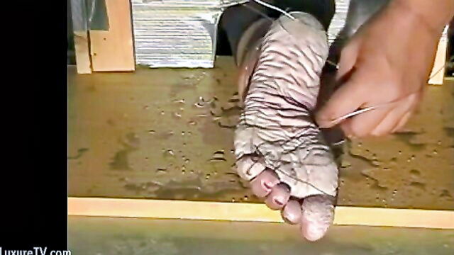feet, bondage, unknown - bianca wet feet tortue