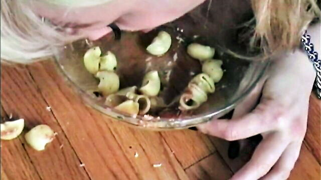 petal, benson, petgirls - pet girls pet training