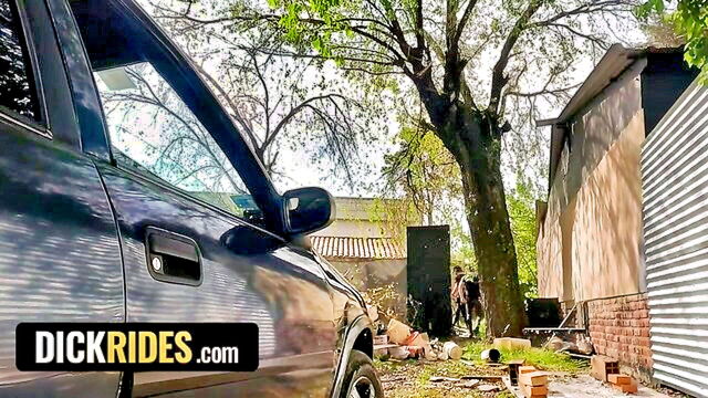 jonas matt - jonas matt public ass fuck