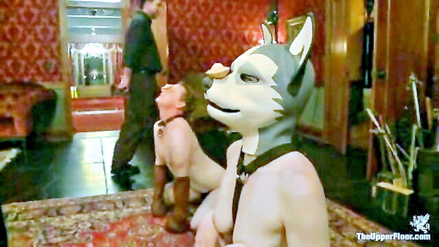 slave, training, roleplay - slave girl puppy play
